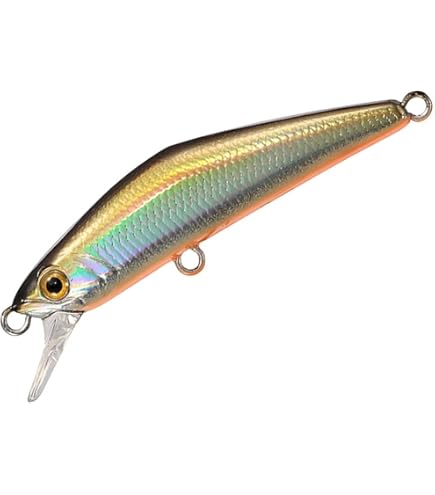 Amazon | スミス(SMITH LTD) トラウティンキャスト タクティスト TT-48