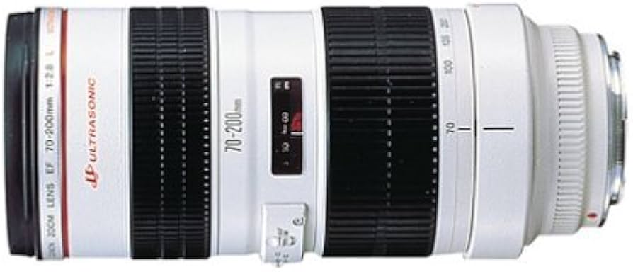 Amazon.com : Canon EF 70-200mm f/2.8L USM Telephoto Zoom Lens for
