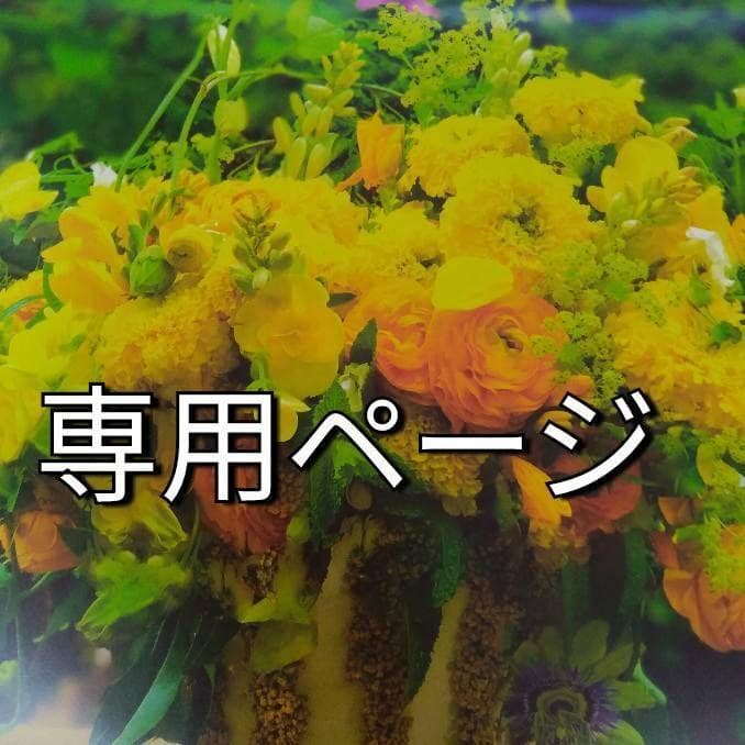 まさえ ZX-9R(ZX900B)-since 1994- - バイクの系譜