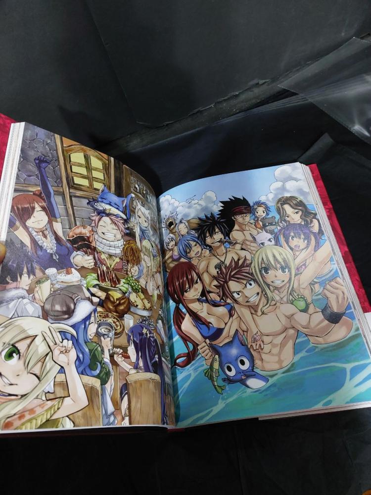 FAIRY TAIL ILLUSTRATIONS 1+2+α MAGNOLIA - متجر مانجا